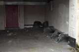 Gymnasium-9