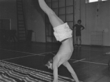 Gymn06