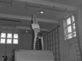 Gymn10