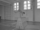 Gymn14