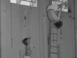 Gymn15