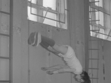 Gymn16