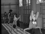 Gymn19