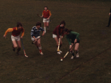 Hock11