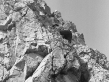 Rhos006