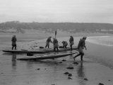 Rhos039