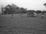 Rugb02