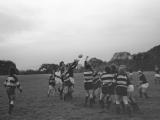 Rugb03