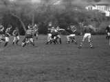 Rugb14