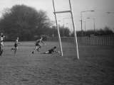Rugb15