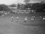 Rugb17