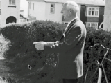1964-5-Budgie