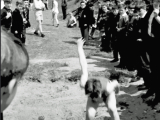 1964-5-Up-the-Ganges-Long-Jump